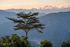 Sumbuk - Forested spot in Sikkim